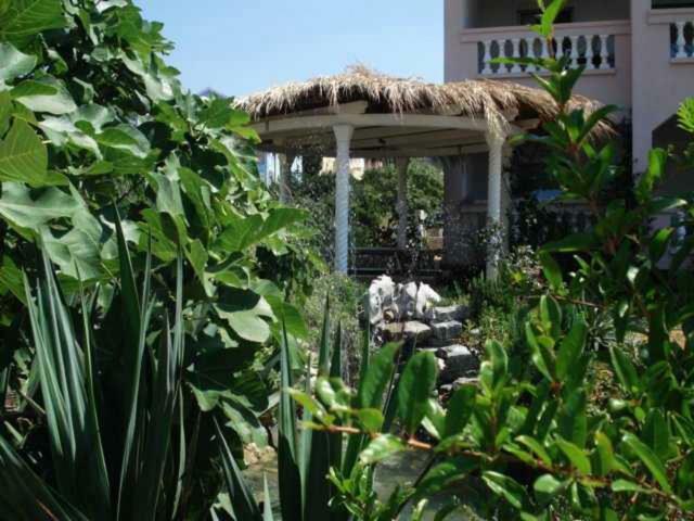 Apartments Mirjana - Stara Novalja Εξωτερικό φωτογραφία