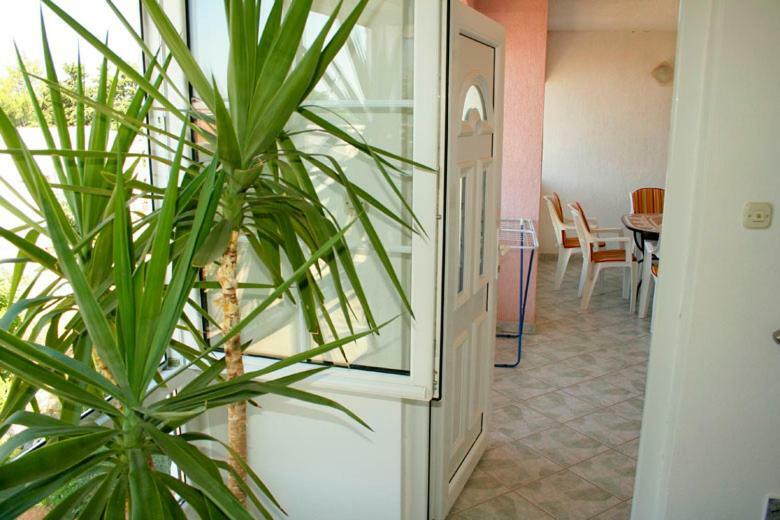 Apartments Mirjana - Stara Novalja Εξωτερικό φωτογραφία