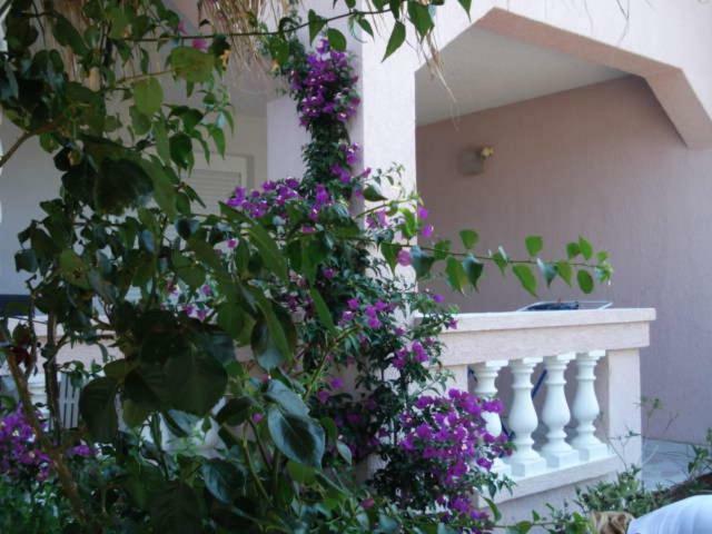 Apartments Mirjana - Stara Novalja Εξωτερικό φωτογραφία